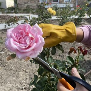 buy anti puncture gloves for garden