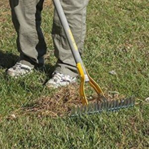 Garden Edges & Borders | Grass Lawn Edging | Lawn Edging Border (Shop Page) 16 buy grass thatching hand rake